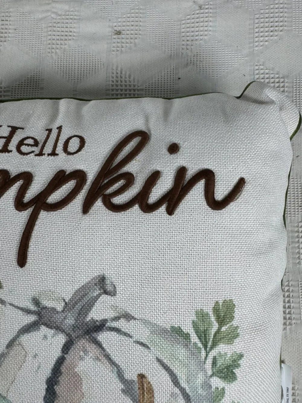 Hello Pumpkin Fall Throw Pillow Embroidered Text Watercolor Pumpkin 16 Inches